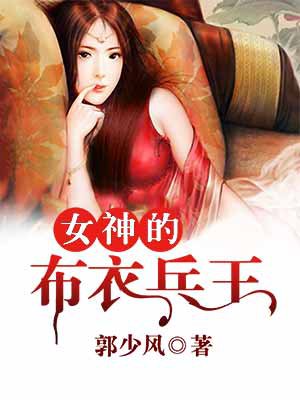 女神的布衣兵王 女神的布衣兵王