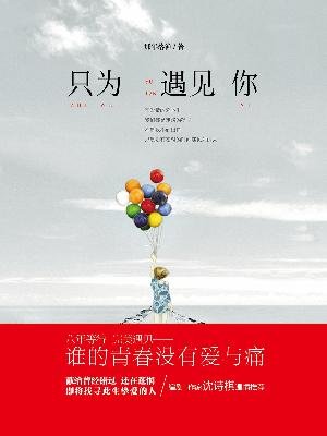 只为遇到你介绍 了解只为遇到你的详细内容