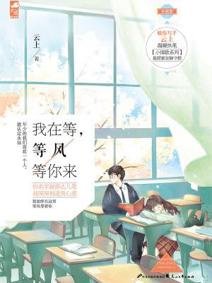 我在等,等风等你来-云上