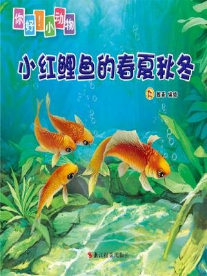 小红鲤鱼的春夏秋冬